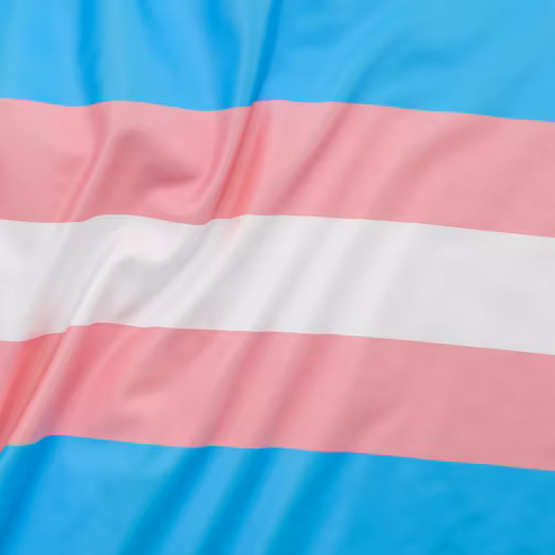 Flagga flaggstång TRANS 150x280 cm