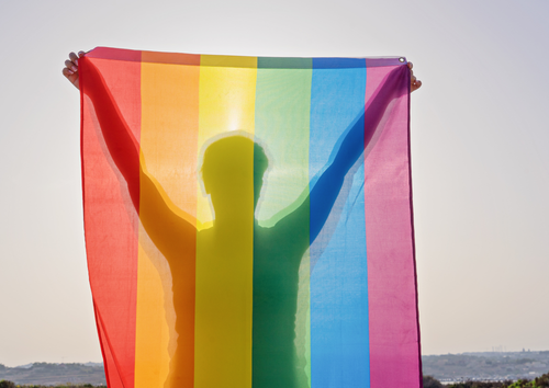 Flagga flaggstång PRIDE 90 x 150 cm