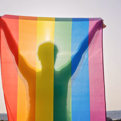 Flagga flaggstång PRIDE 90 x 150 cm