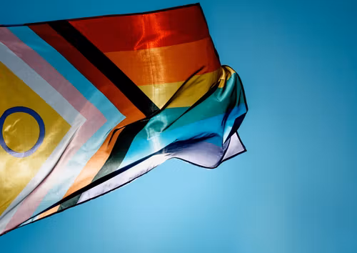 Flagga Flaggstång 150 x 240 cm INTERSEX PROGRESS PRIDE