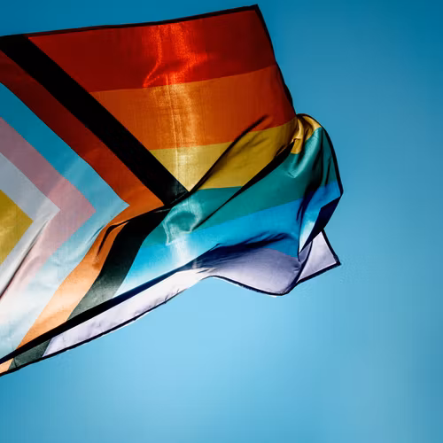 Flagga Flaggstång 150 x 240 cm INTERSEX PROGRESS PRIDE