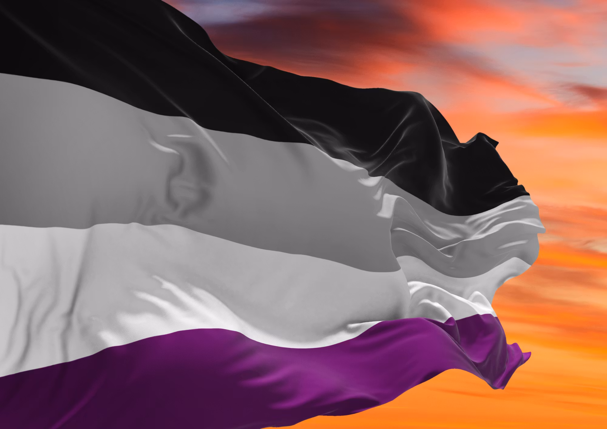 Flagga flaggstång ASEXUELL 90 x 150 cm
