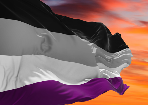 Flagga flaggstång ASEXUELL 90 x 150 cm
