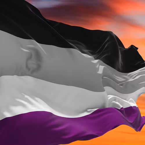 Flagga flaggstång ASEXUELL 90 x 150 cm