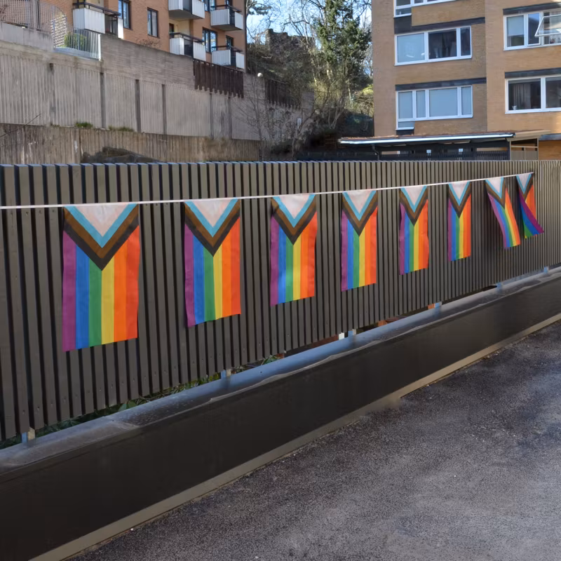 Flaggspel mellan 7 m PROGRESS PRIDE