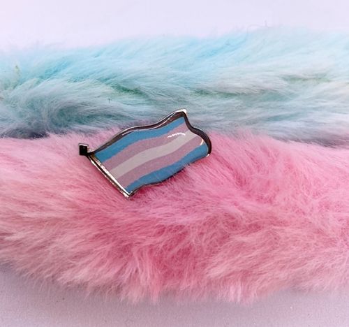 Pin liten flagga TRANS