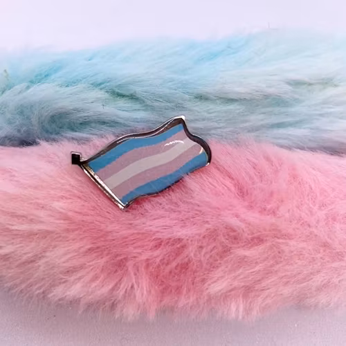 Pin liten flagga TRANS