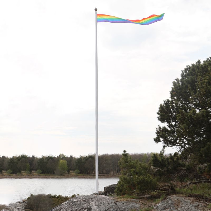 Pridevimpel med D-ögla 40 x 350 cm