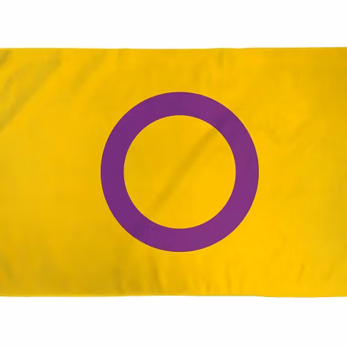 Flagga 90 x 150 cm INTERSEX