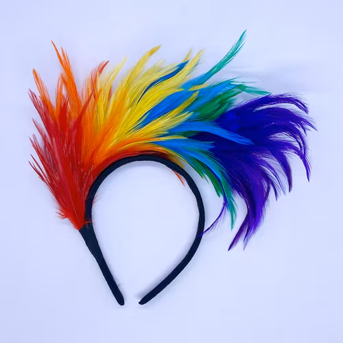 Diadem med fjädrar åt sidan PRIDE