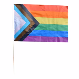 Flagga på pinne 40 x 60 cm PROGRESSIVE PRIDE
