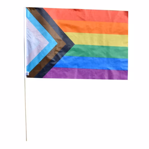 Flagga på pinne 40 x 60 cm PROGRESSIVE PRIDE