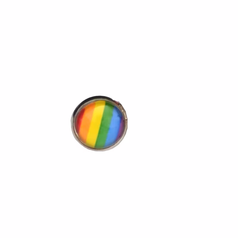 Örhängen runda PRIDE