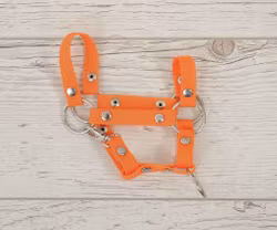 Liten grimma, Hobby Horse, Orange