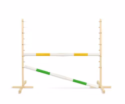 Hopphinder för Hobbyhäst med bommar 160cm - Yellow & Green