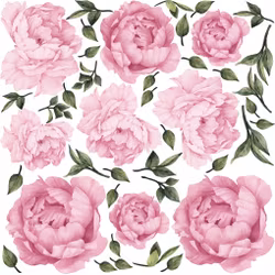 Väggklistermärke rosa pioner