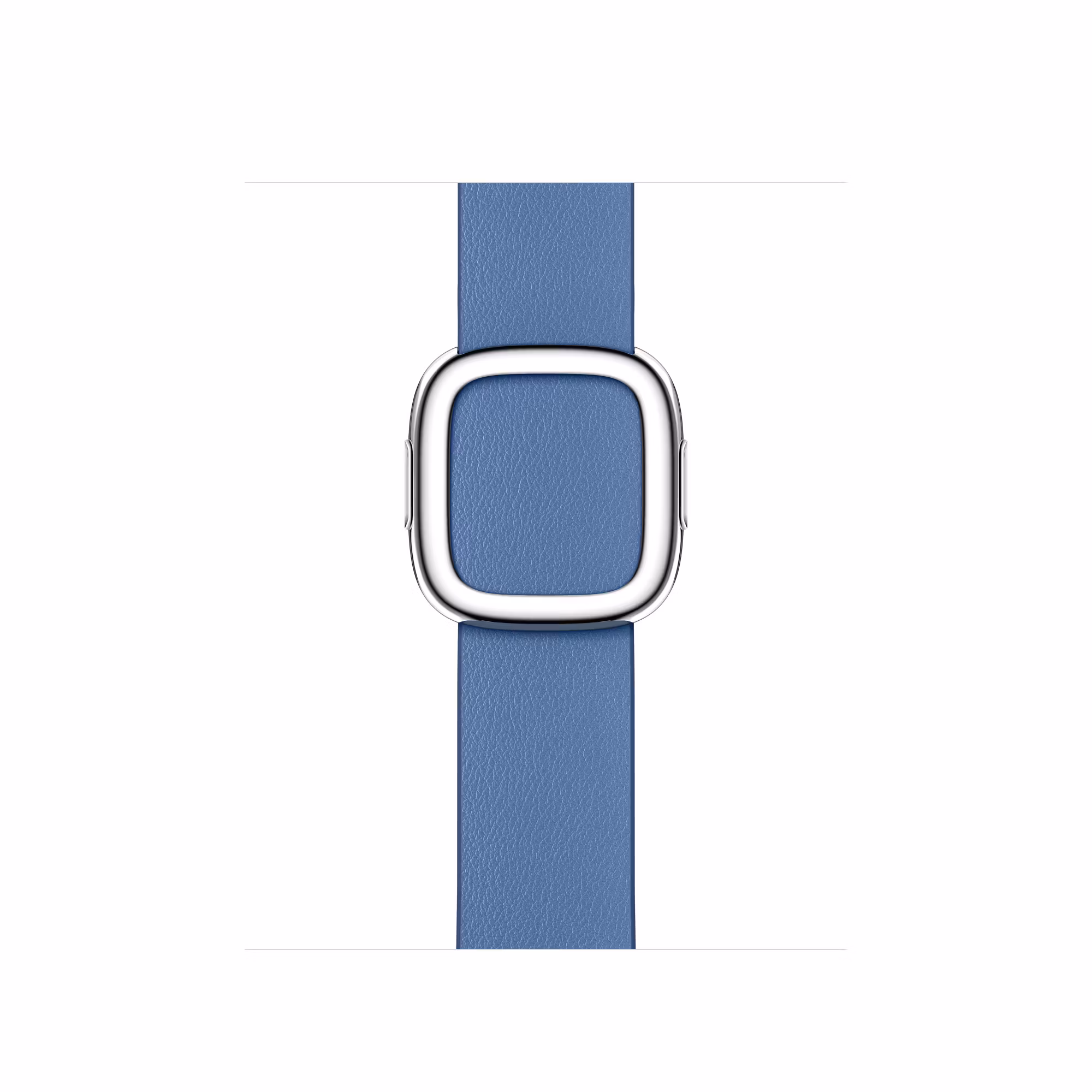 Cornflower - Modern Buckle • Apple Watch Armband