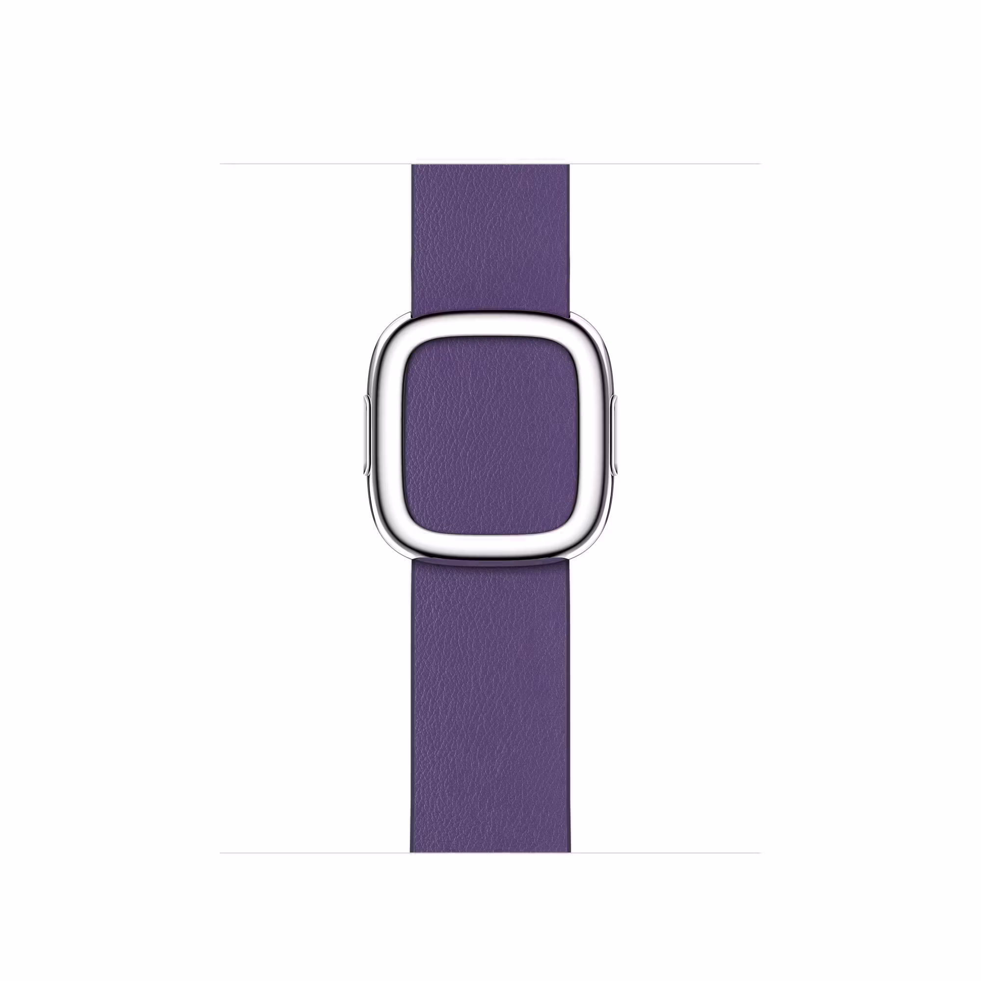 Purple - Modern Buckle • Apple Watch Armband