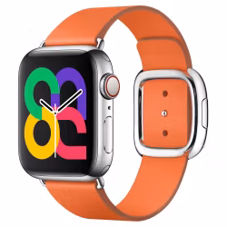 Sunset - Modern Buckle • Apple Watch Armband