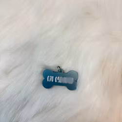 Hund id-tagg
