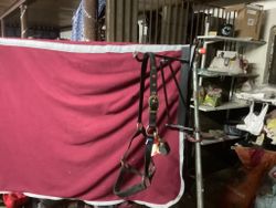 Grimma svart cob