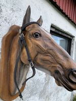 Chetak,huvudlag,svart,cob
