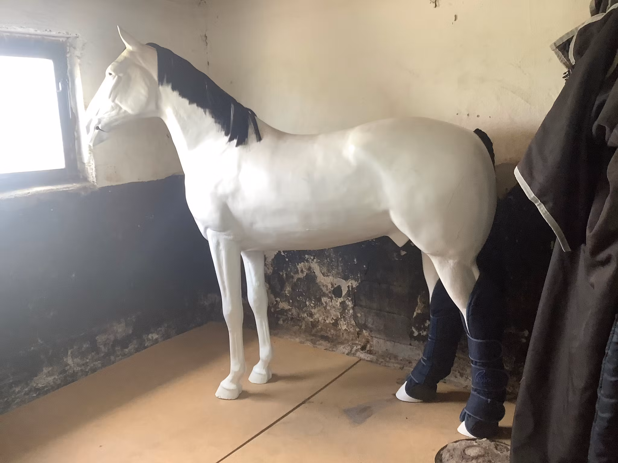 Pessoa transportskydd,blå,bak,F,fint skick