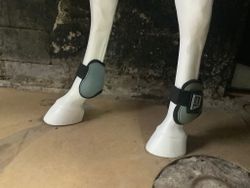 Hampa Pro,blåa,bakbensskydd,F