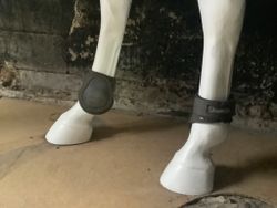 Showmaster,bakbensskydd,cob,svarta,