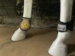 Equiguard,beige/rosa,S