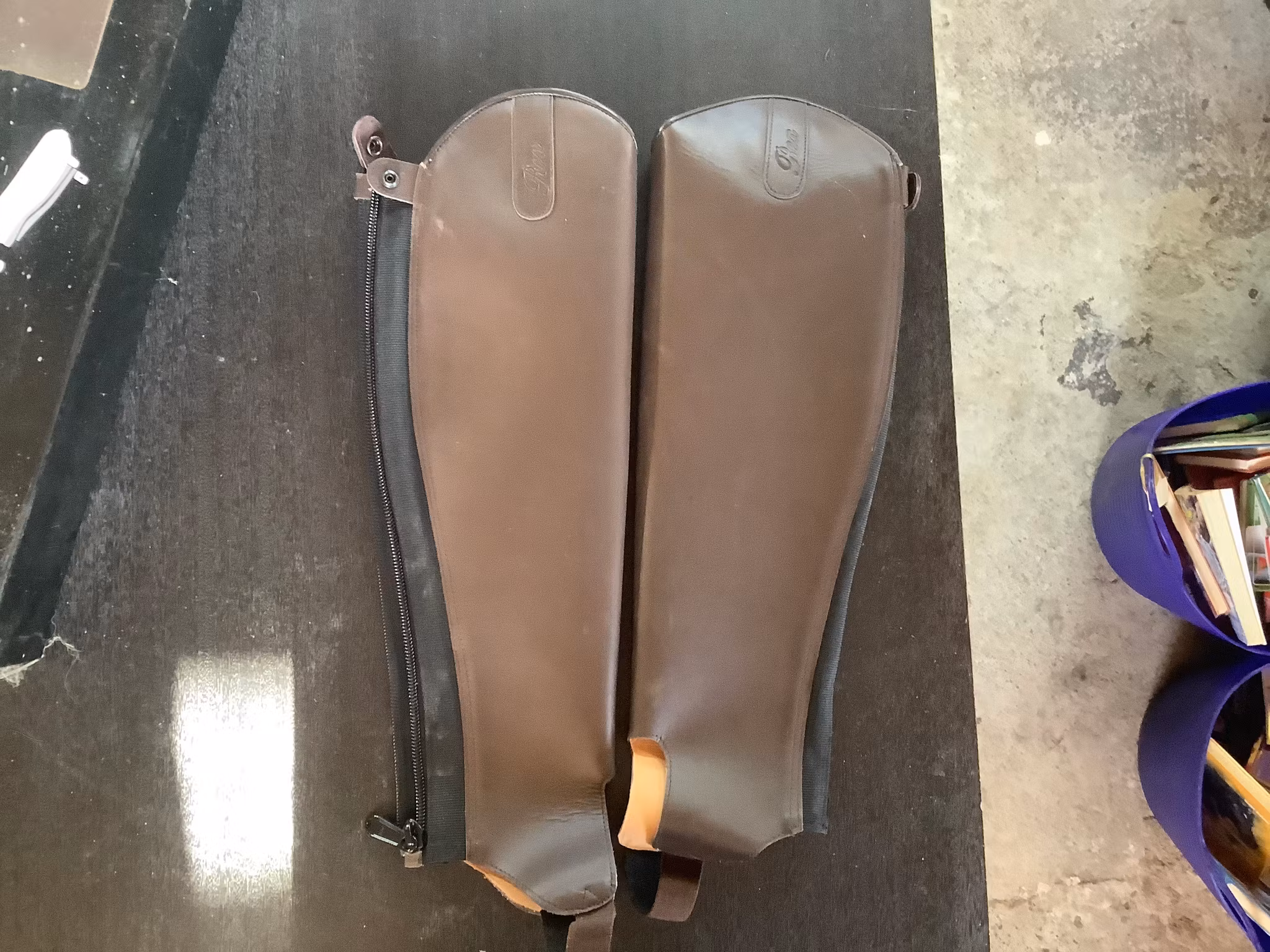 Rex by HKM,shortchaps,xl/m,nya