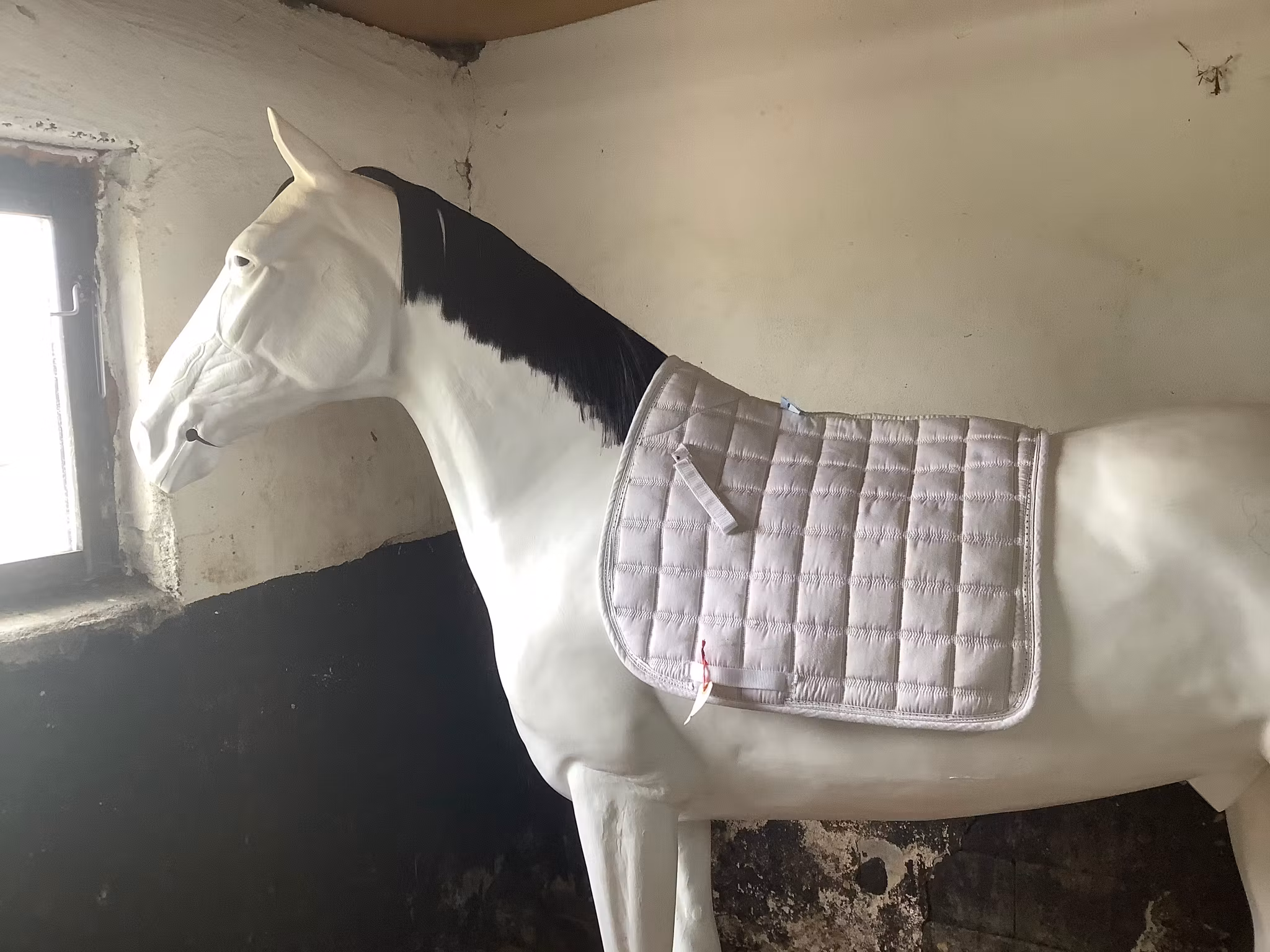 Imperial riding,schabrak,dr,F, vitt med stenar