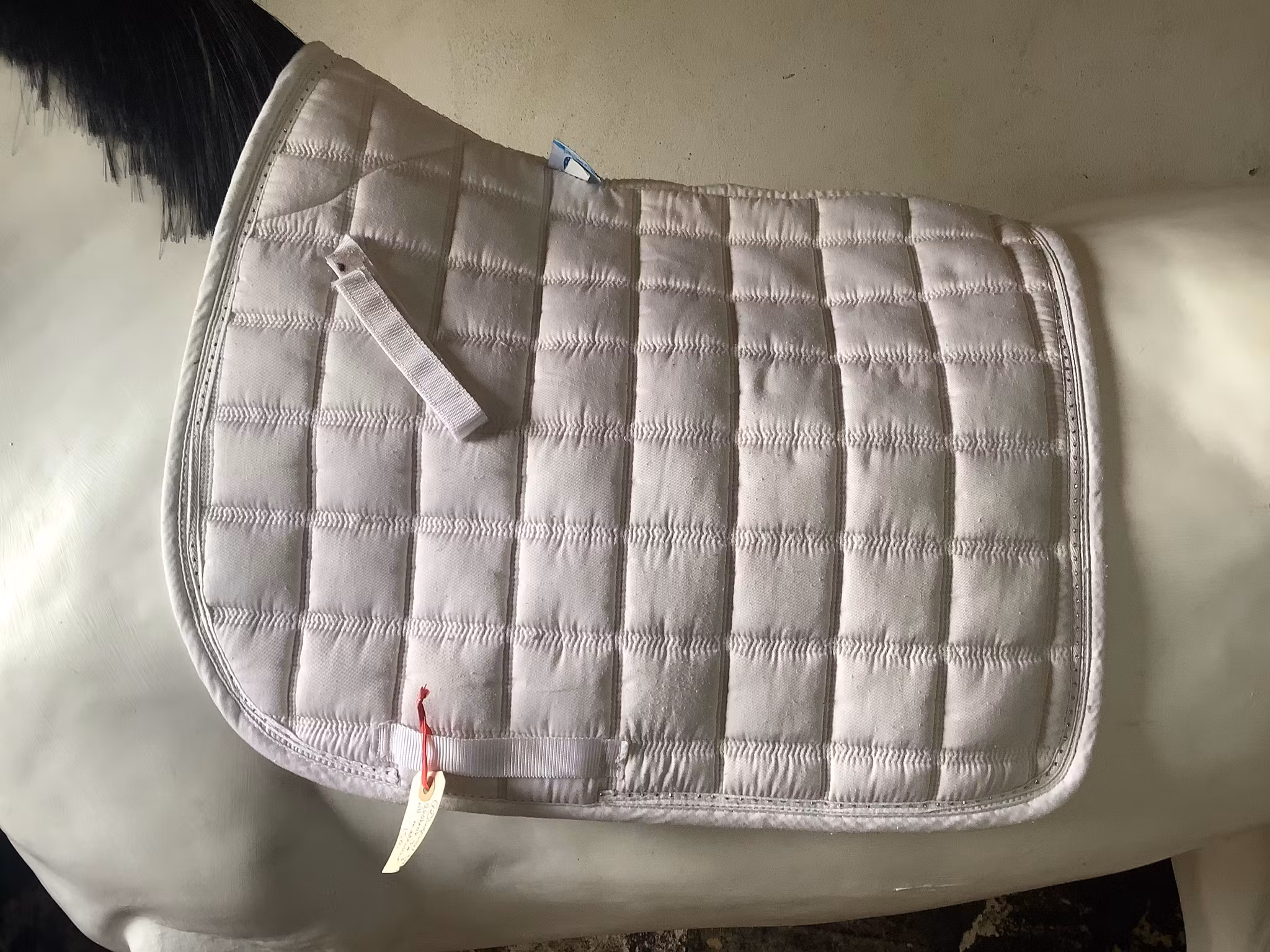 Imperial riding,schabrak,dr,F, vitt med stenar