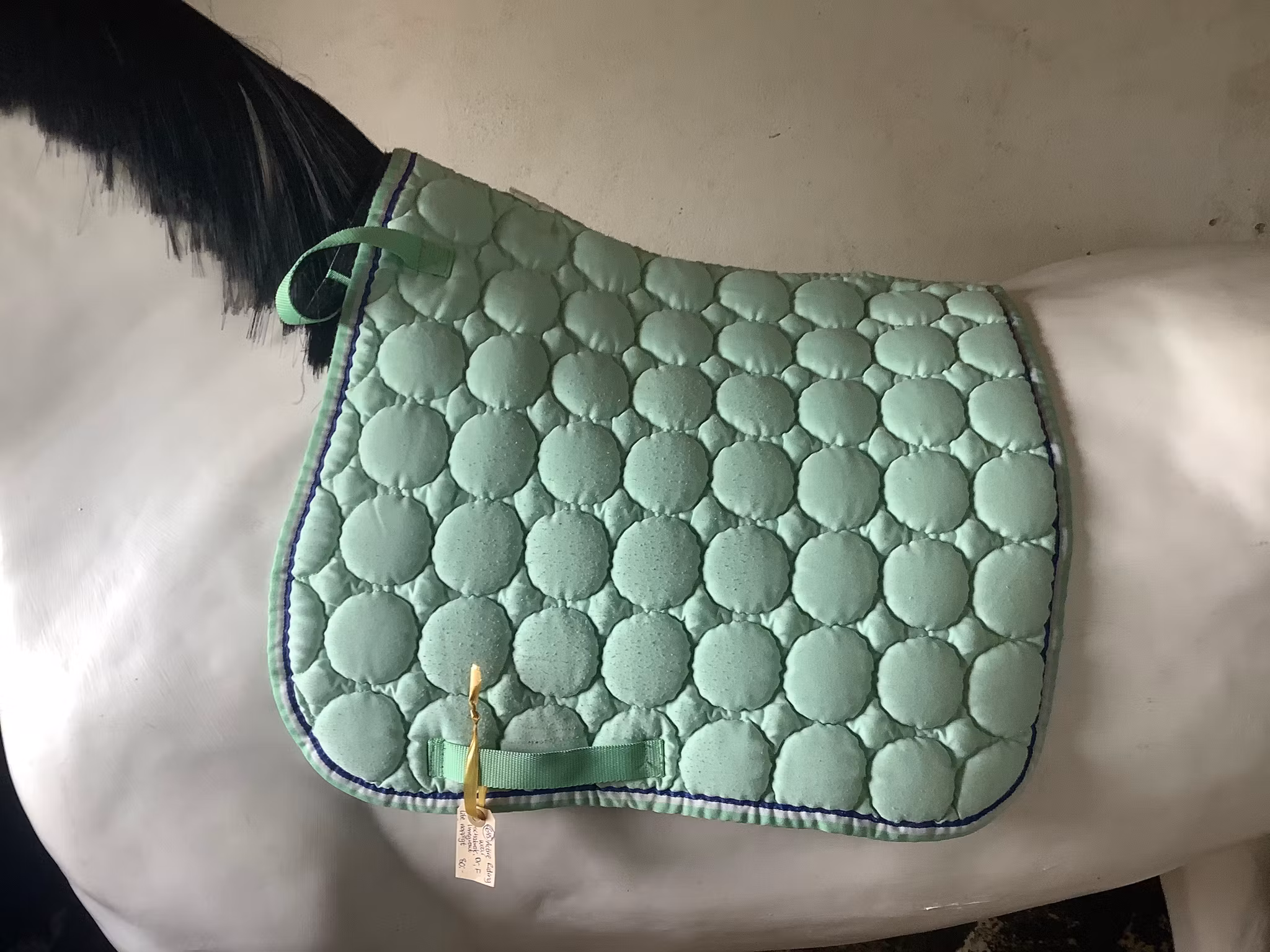 Active riding wear,schabrak,limegrönt,dr,F, lite noppigt