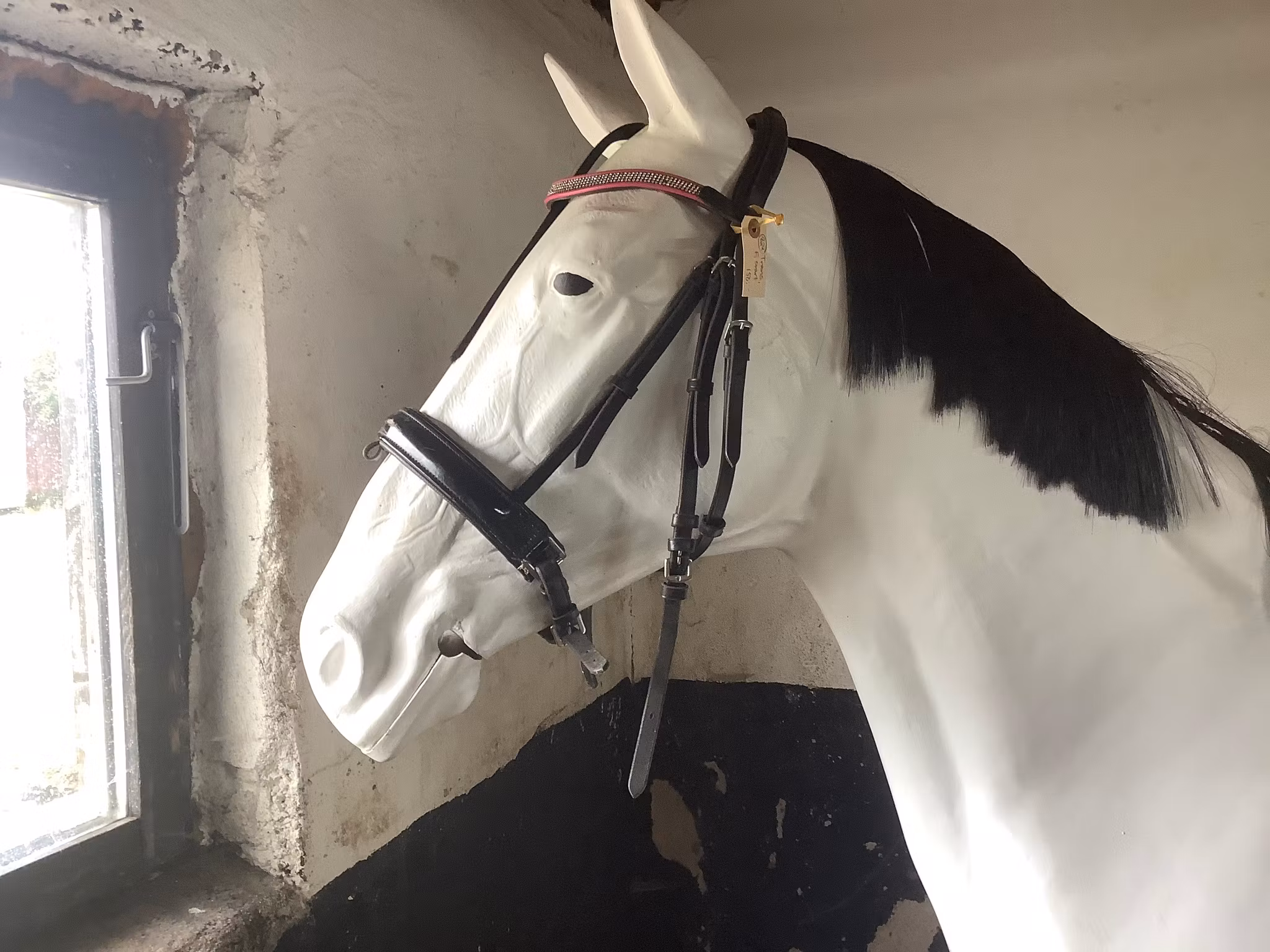 Träns,svart,rosa pannband med bling,nån sten fattas,F,lite skav fram på nosgrimman,