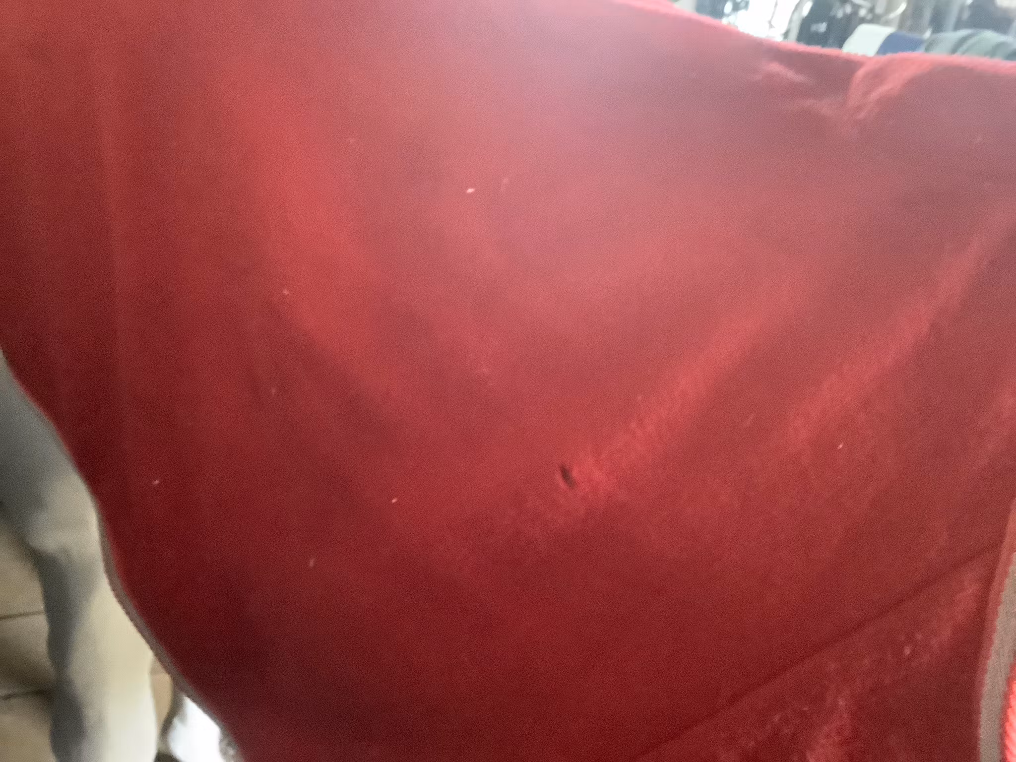 HKM,fleecetäcke,rött,lite hål,85 cm