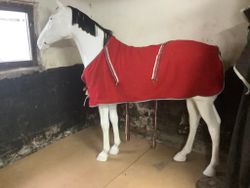 Fleecetäcke,rött,125 cm