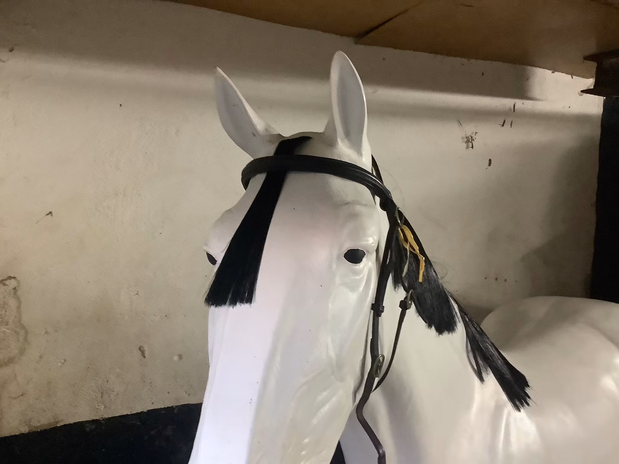 Huvudlag utan nosgrimma,svart,cob