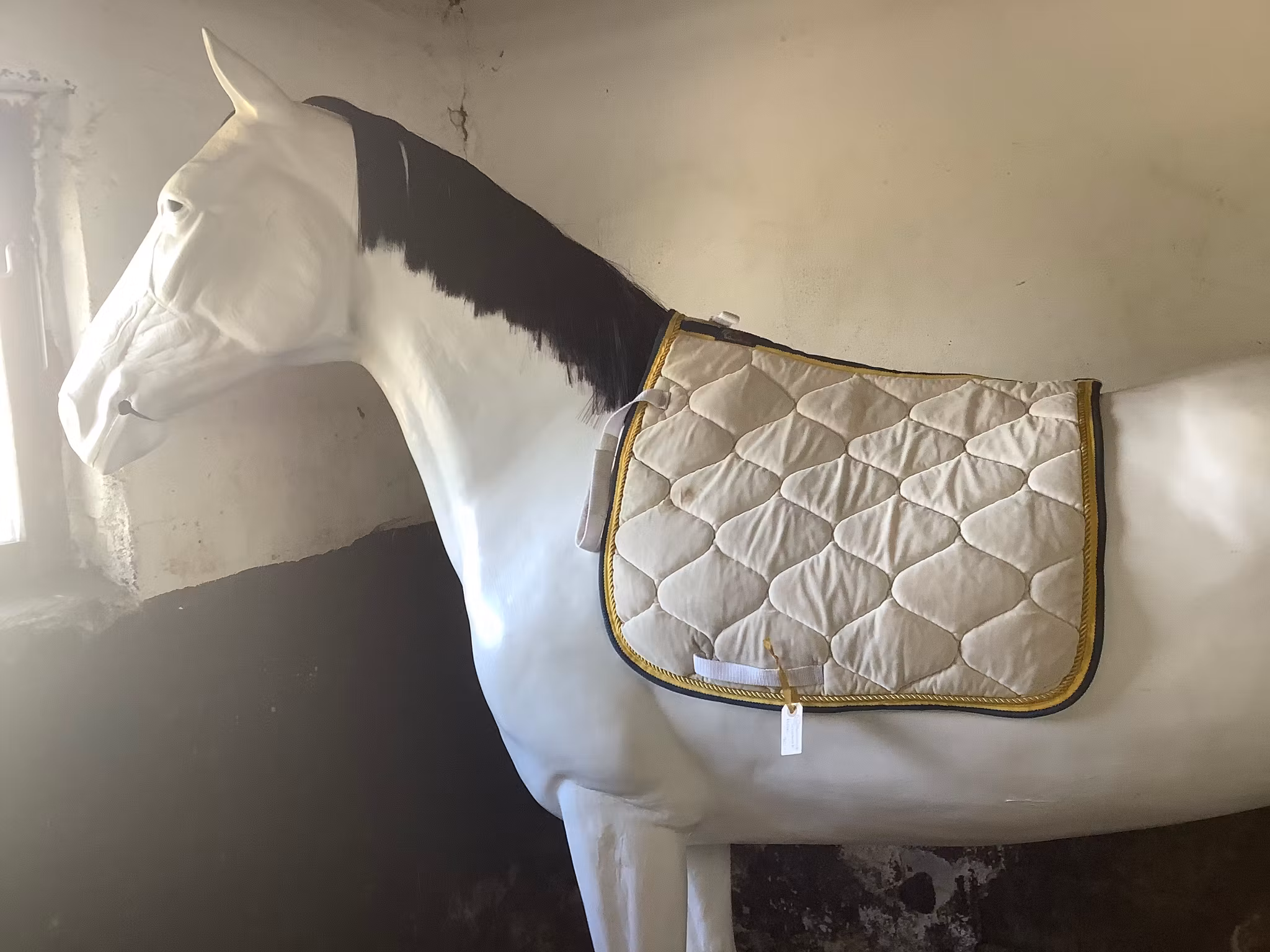 Horseback,schabrak,fläck