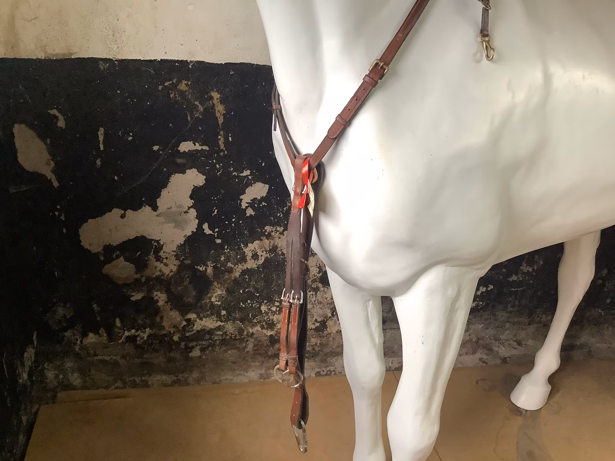 Martingal med förbygel ,F,brun