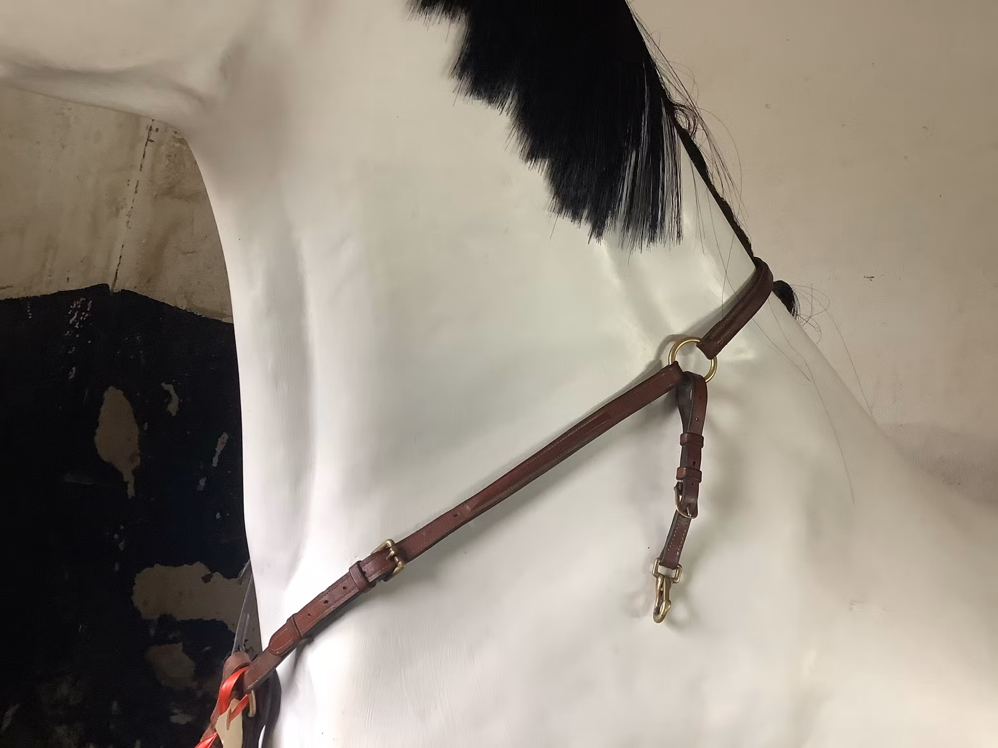 Martingal med förbygel ,F,brun