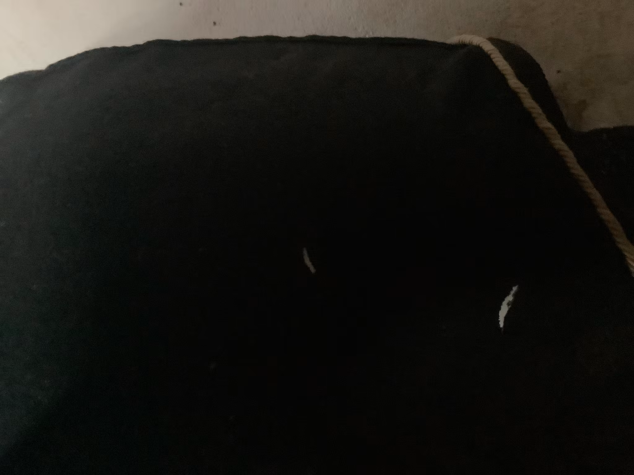 Catago,fleecetäcke,ena knäppet lite sönder,några hål,125