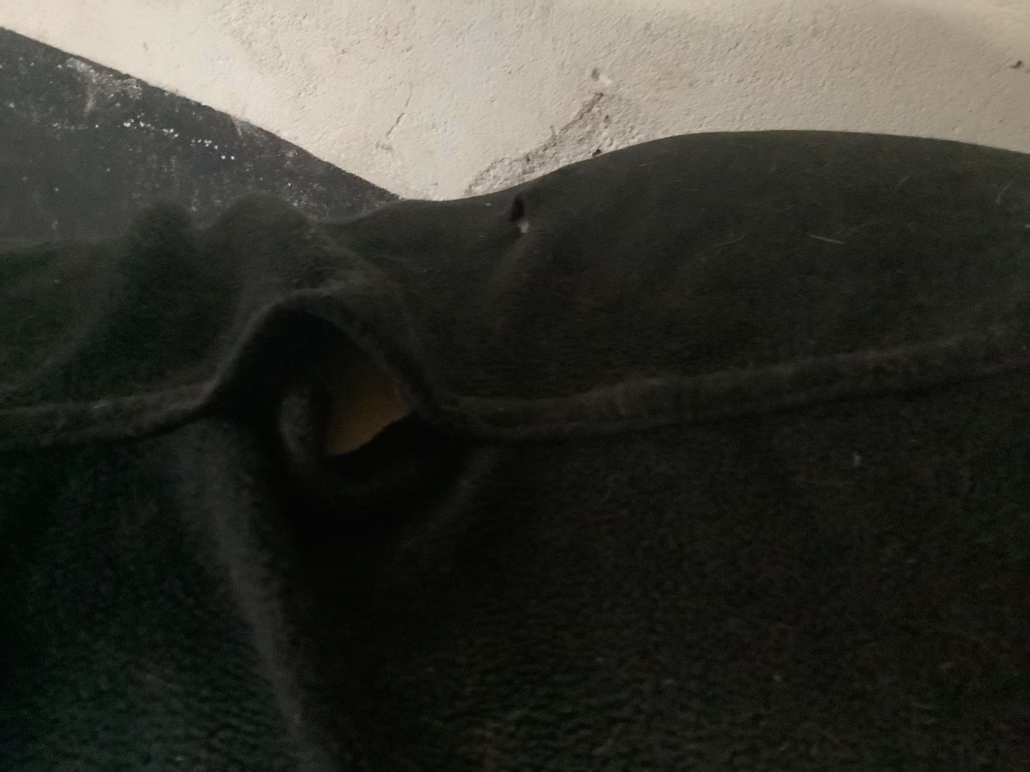 Catago,fleecetäcke,ena knäppet lite sönder,några hål,125