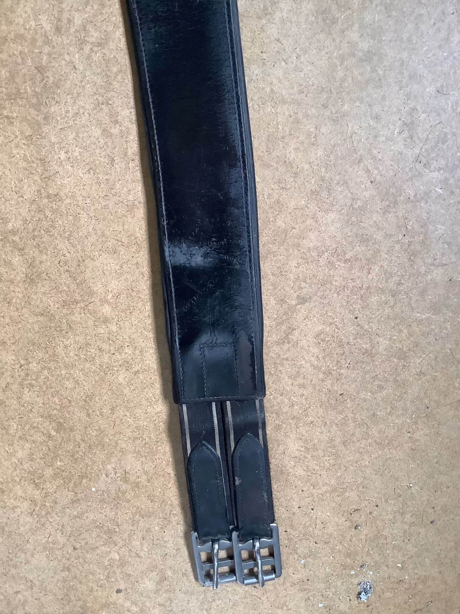 Sadelgjord med magplatta,svart, 145 cm