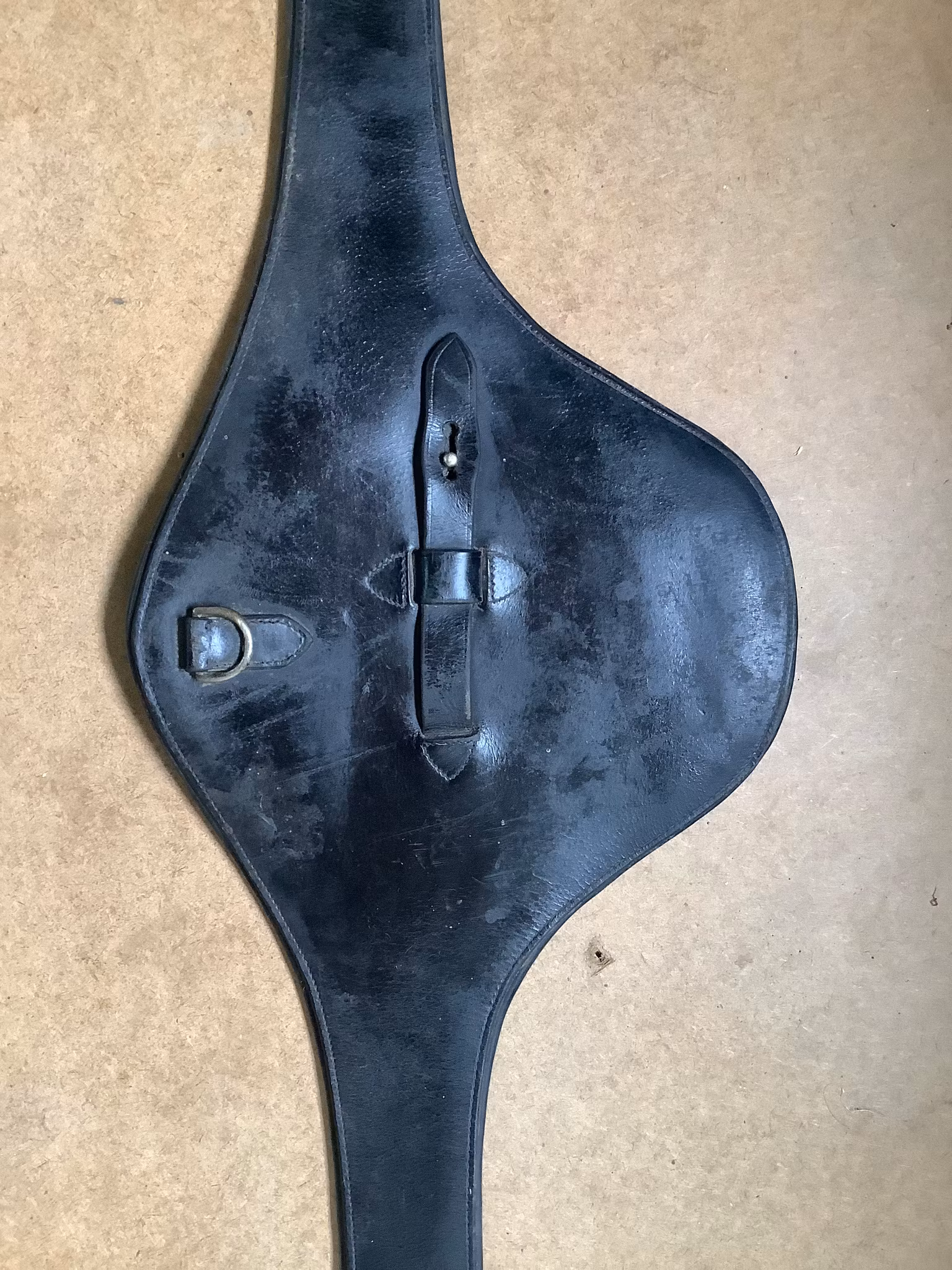 Sadelgjord med magplatta,svart, 145 cm