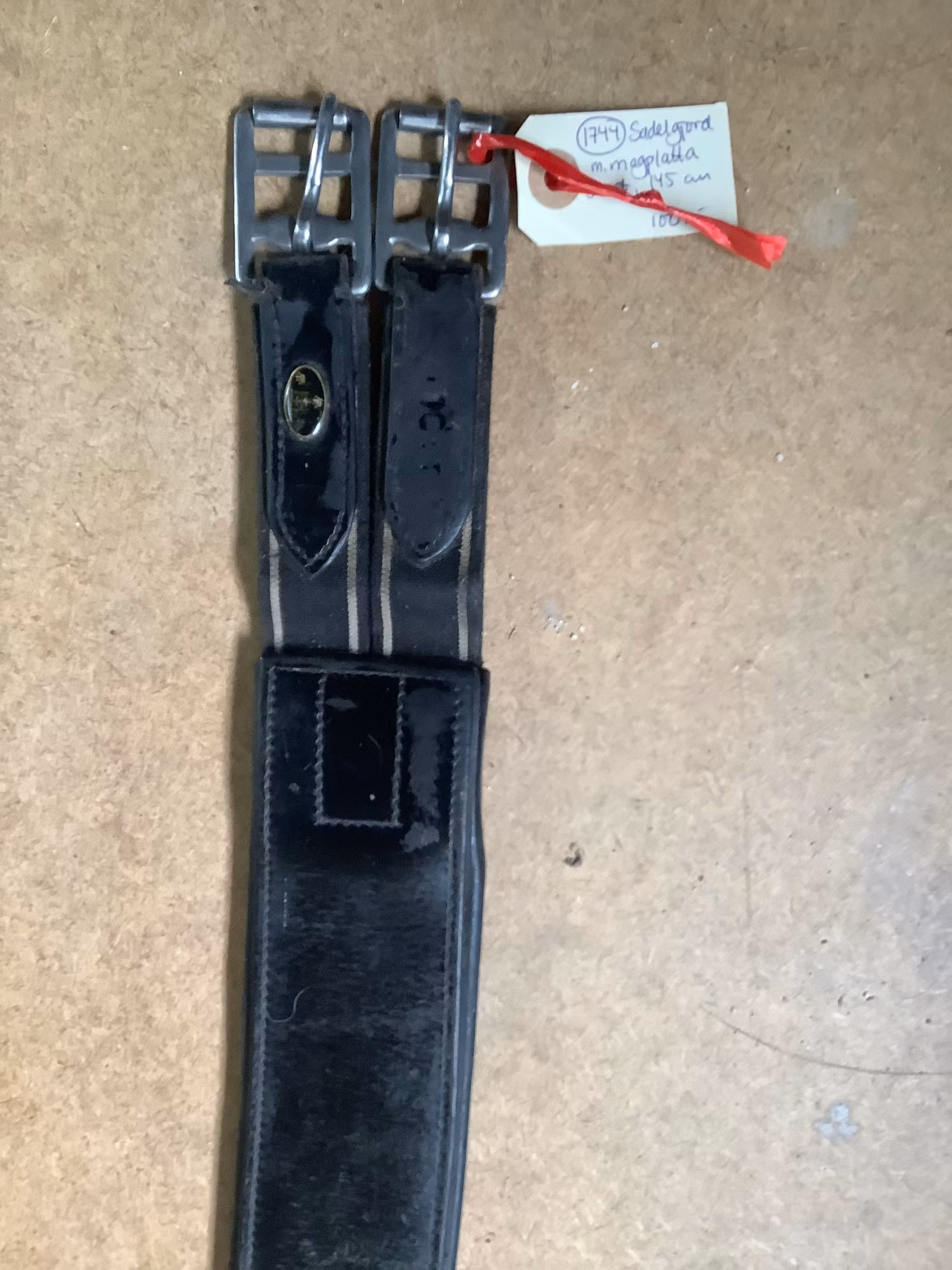 Sadelgjord med magplatta,svart, 145 cm