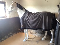 Fleecetäcke,grått,135 cm