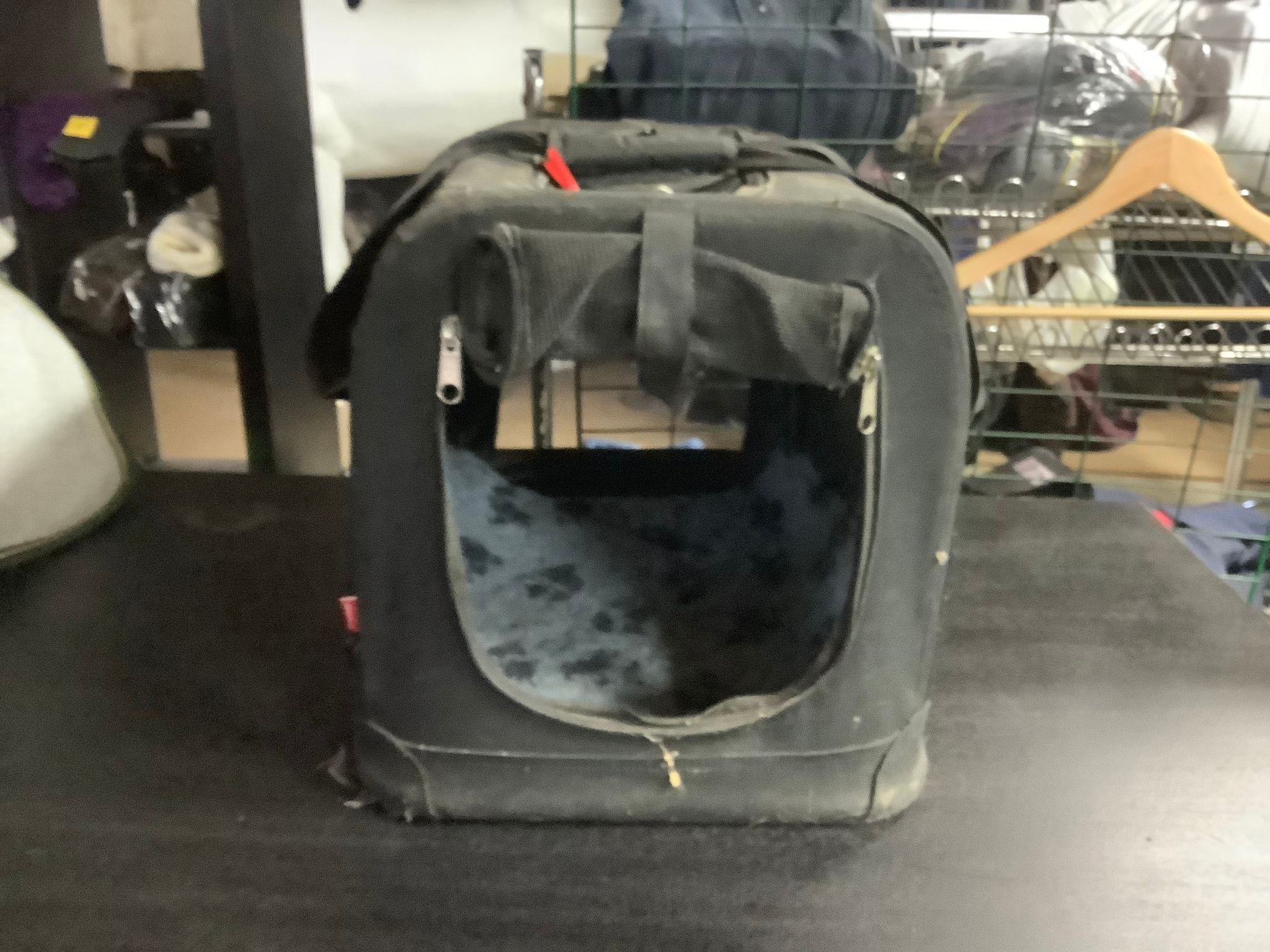 Kattbur,dogman,svart