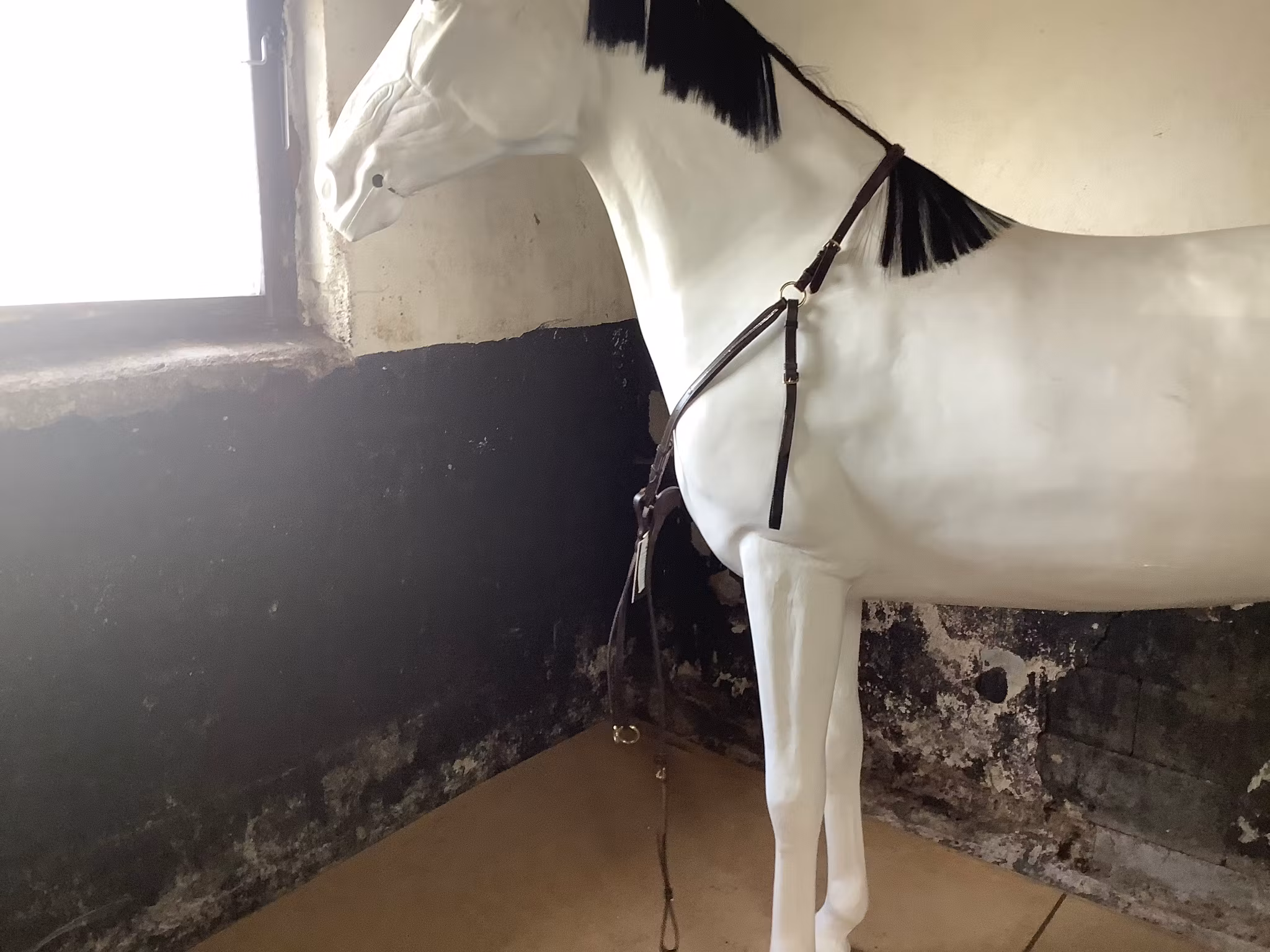 Mountain horse,meteor,mörkbrun,brösta inkl martingal,swarowski,ny,F