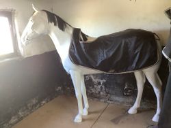 Skrittäcke,exklusive horsewear,F,svart,en reva insidan och en liten utsidan,fodrat